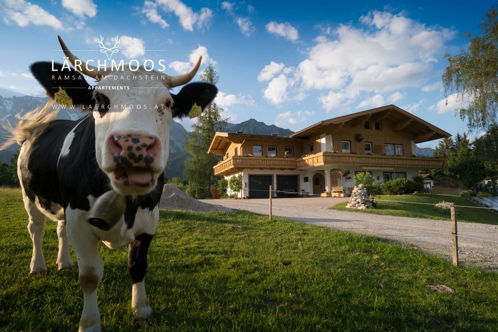 Appartements Laerchmoos Рамзау ам Дахщайн Екстериор снимка